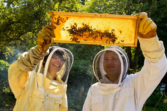 Krista Conner and James O'Gorman of Microsoft work with the bee hives at the apiary at the Washington Arboretum on July 20, 2015. (Photography by Scott Eklund/Red Box Pictures)