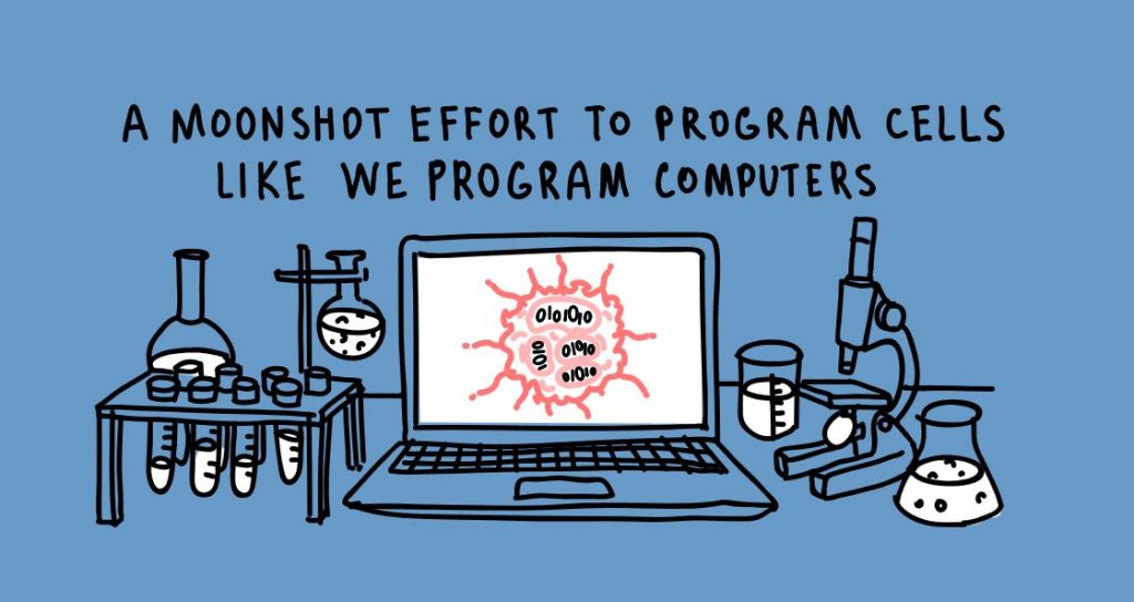 Hand-drawn picture has the words "A moonshot effort to program cells like we program computers" over science-lab beakers, a laptop and a microscope.