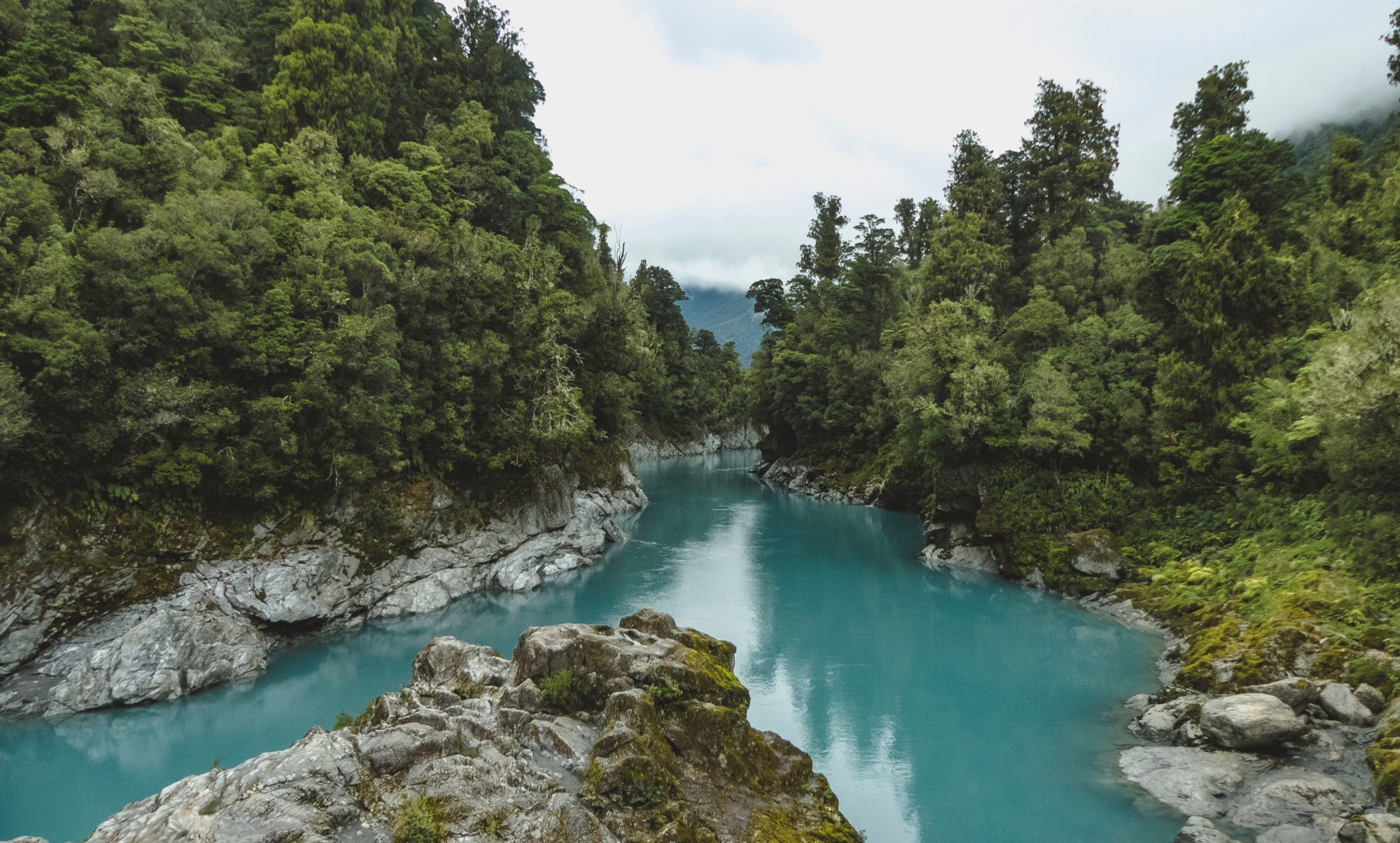 River rocks and trees
