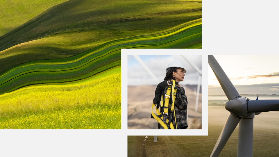 Three outdoor photos in one