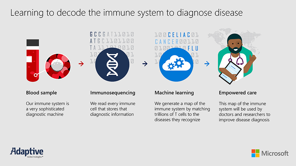 Infographic shows steps starting with a blood sample to decode the immune system to diagnose disease