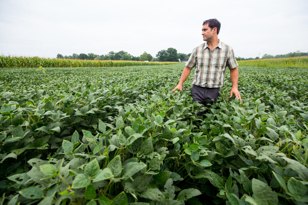 Man standing in field of crops