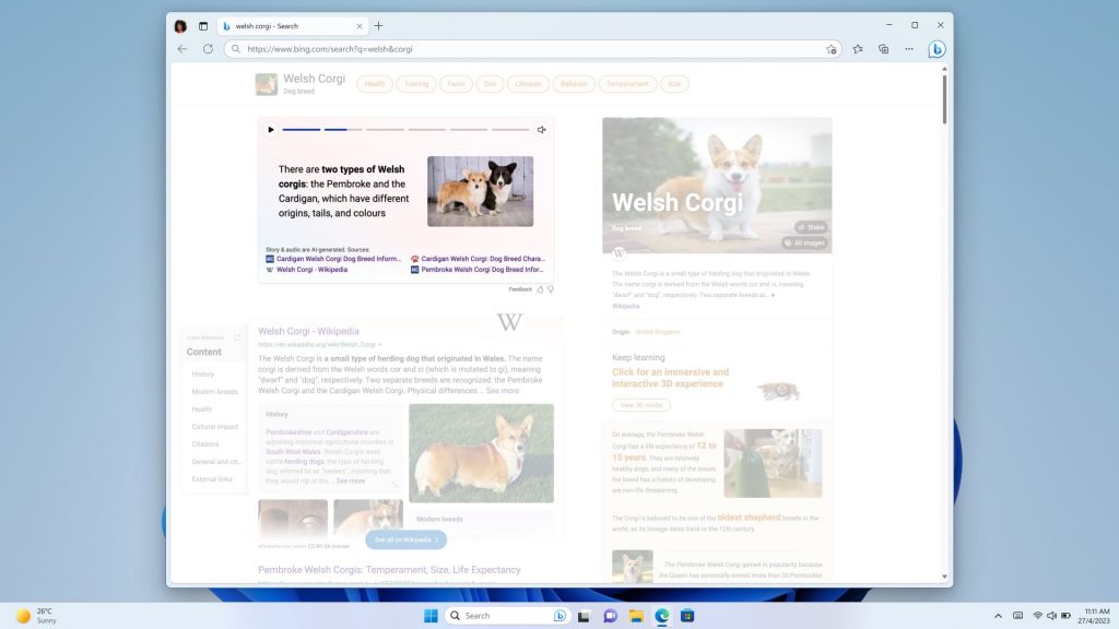 knowledge thẻ showing information about corgis