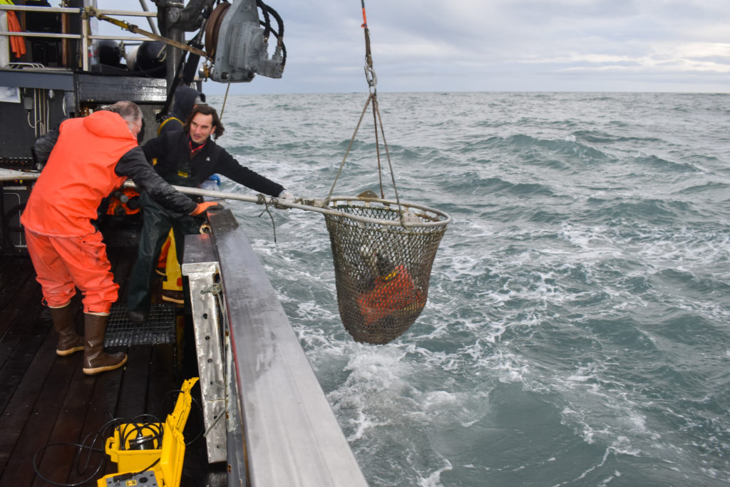Scientist Manuel Castellote (right) goes out in Alaska’s Cook Inlet each spring and fall to collect microphones at the bottom of the sea.