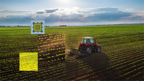 A tractor is seen in a field