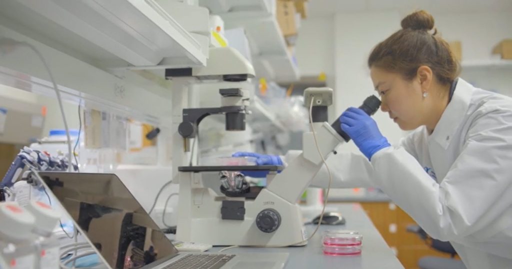 A researcher peers into a microscope