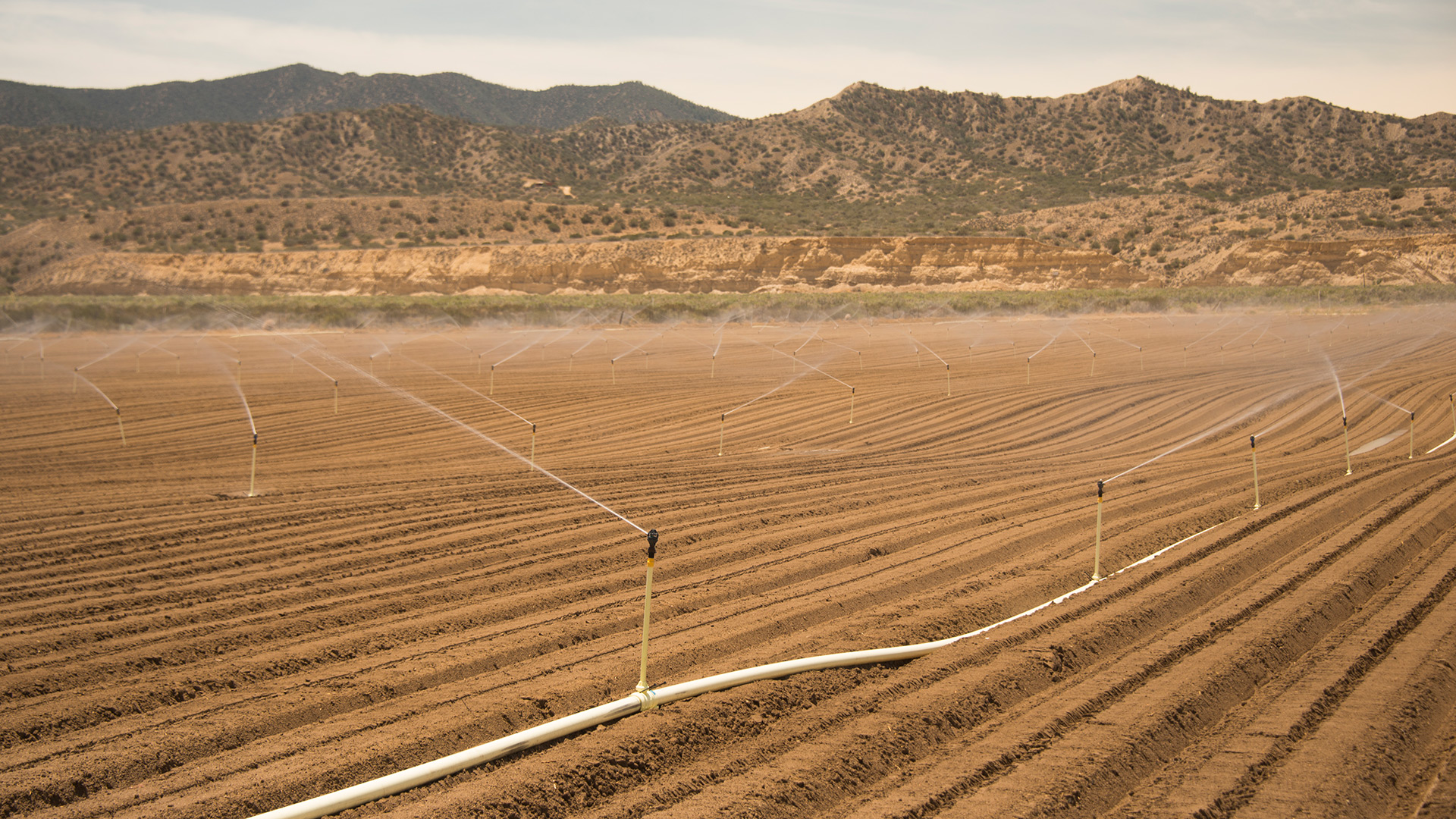 Fields being irrigated on the edge of the desert in the Cuyama Valley