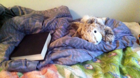 A stuffed animal and a black book on top of floral and blue blankets