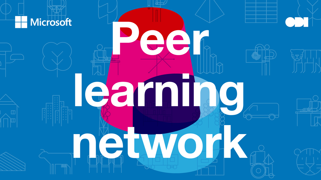 peer learning network