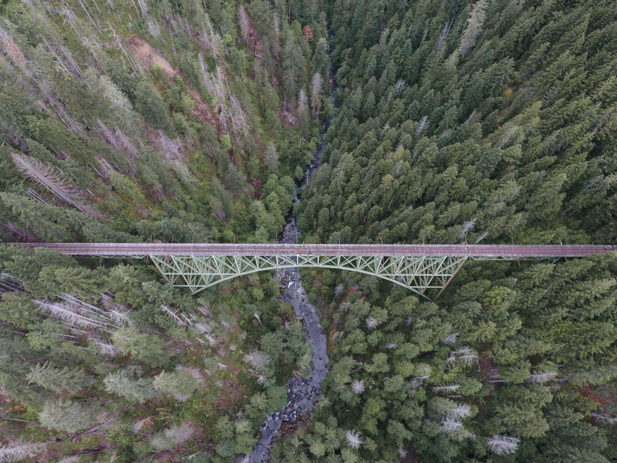 a bridge over a river in a forest