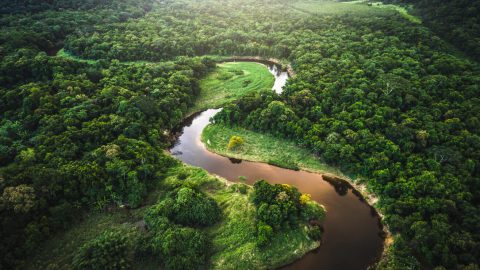 the amazon river in Brazil