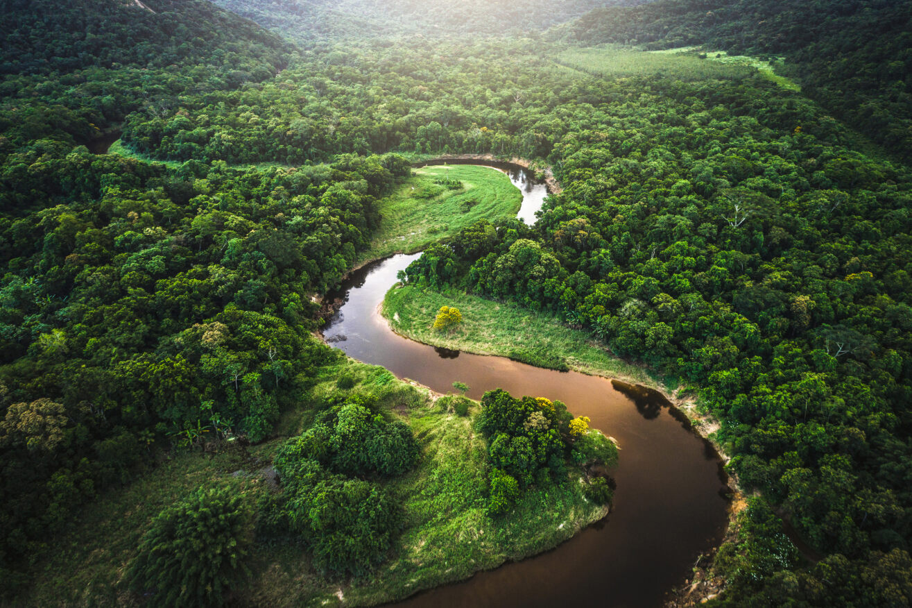 the amazon river in Brazil
