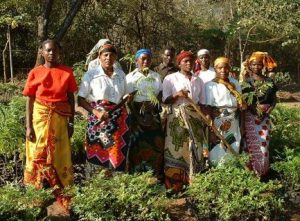 Figure 2 - Meru & Nanyuki Community Reforestation Project, Kenya. Local women engaged in sustainable farming activities. Photo credit: Carbon Neutral Company 2015.