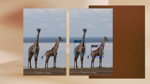 The image features a digital collage with two main elements. The first is a naturalistic scene showing two giraffes standing on a grassy area near a body of water, under a cloudy sky. The second element presents a visual overlay on the right side, where each giraffe is enclosed in a blue bounding box labeled '0.99%', indicating an AI detection process. These elements are overlaid against a background of unfocused brown and sand tones, suggesting a blend of wildlife observation and technological analysis.